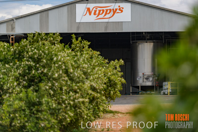 October 2018 / NIPPY's_181002_093