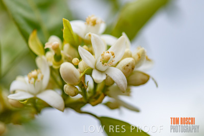 October 2018 / NIPPY's_181002_095