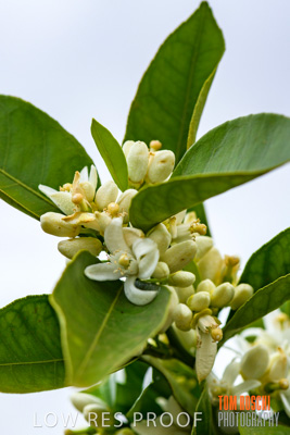 October 2018 / NIPPY's_181002_098