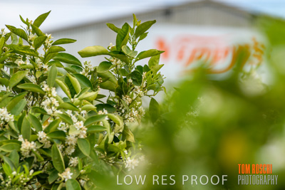 October 2018 / NIPPY's_181002_101