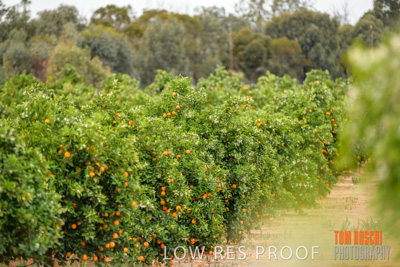 October 2018 / NIPPY's_181002_111