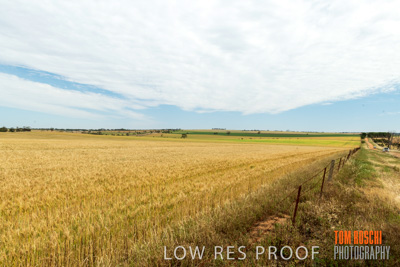 October 2018 / Peter_PANAS_Bank_SA_181022_109