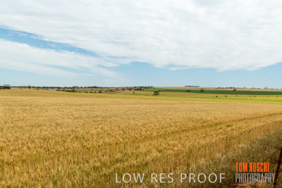 October 2018 / Peter_PANAS_Bank_SA_181022_110