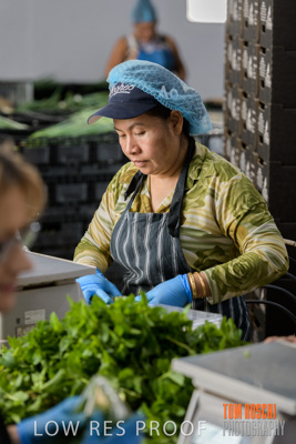 January 2019 / Juliet_TRIPODI_NUNGA_PRODUCE_190116_045