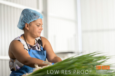 January 2019 / Juliet_TRIPODI_NUNGA_PRODUCE_190116_062