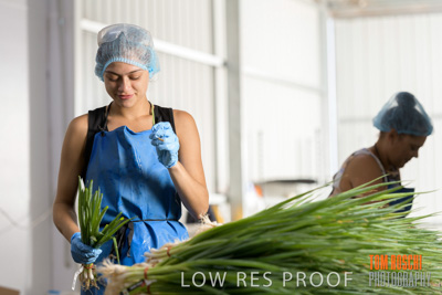 January 2019 / Juliet_TRIPODI_NUNGA_PRODUCE_190116_064