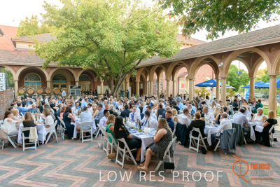 BSA_FOUNDATION_190222_151_lrp