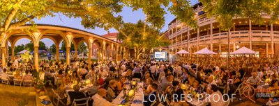 BSA_FOUNDATION_P03_190222_292-Pano_lrp