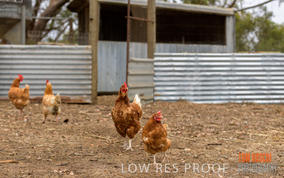 February 2020 / BSA_KI_003