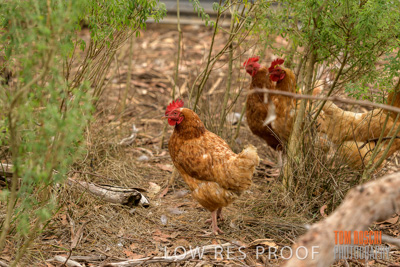 February 2020 / BSA_KI_004