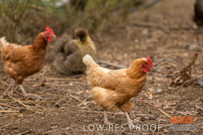 February 2020 / BSA_KI_006