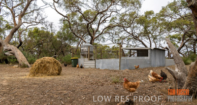 February 2020 / BSA_KI_008