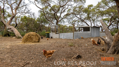 February 2020 / BSA_KI_009