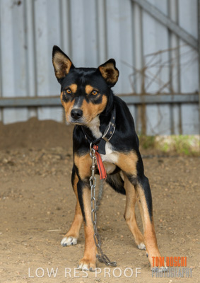 February 2020 / BSA_KI_011