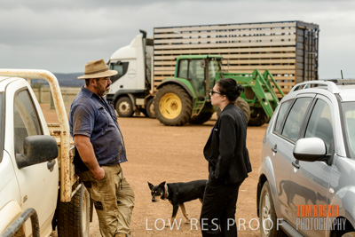 February 2020 / BSA_KI_023