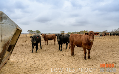 February 2020 / BSA_KI_040