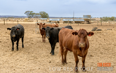 February 2020 / BSA_KI_041