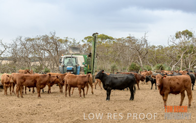 February 2020 / BSA_KI_044