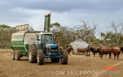 February 2020 / BSA_KI_046