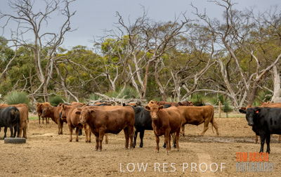 February 2020 / BSA_KI_048