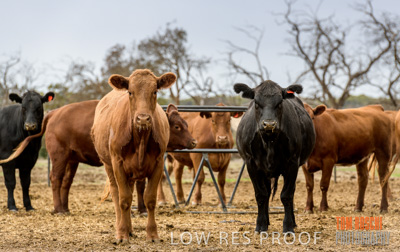 February 2020 / BSA_KI_050