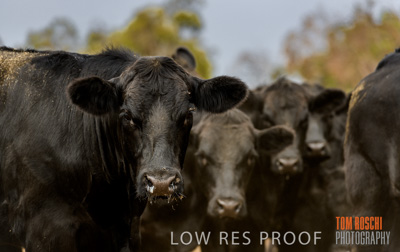 February 2020 / BSA_KI_055