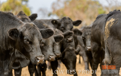 February 2020 / BSA_KI_056