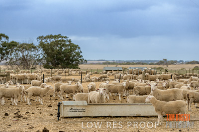 February 2020 / BSA_KI_059