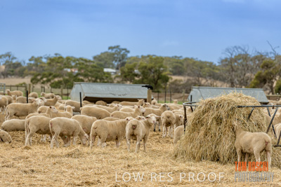 February 2020 / BSA_KI_060