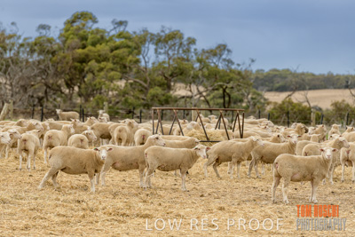 February 2020 / BSA_KI_061