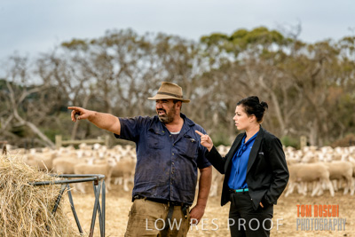 February 2020 / BSA_KI_074