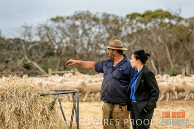 February 2020 / BSA_KI_079