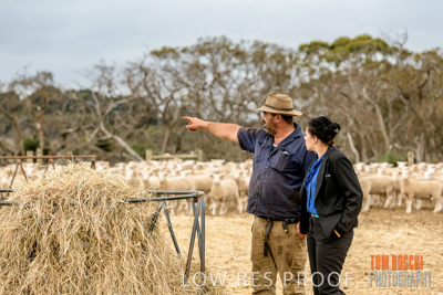 February 2020 / BSA_KI_080