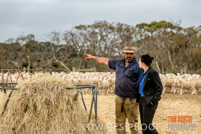 February 2020 / BSA_KI_081