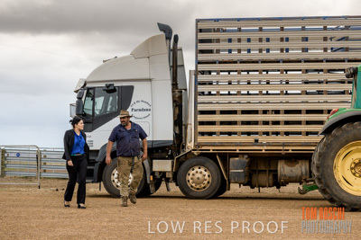 February 2020 / BSA_KI_110