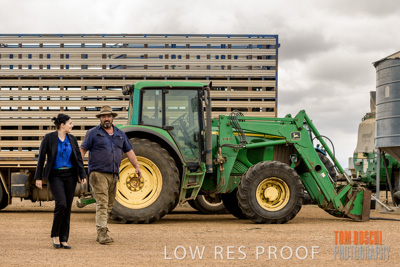 February 2020 / BSA_KI_115