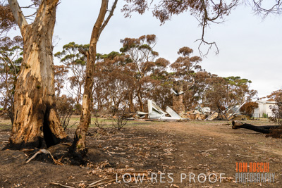 February 2020 / BSA_KI_132