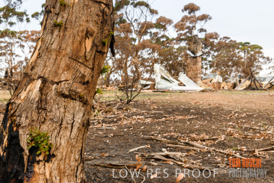 February 2020 / BSA_KI_133