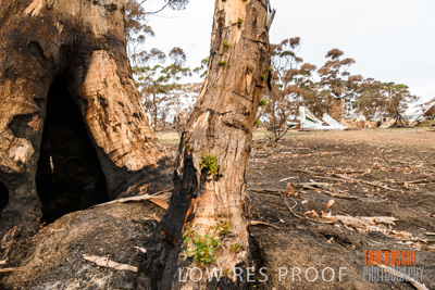 February 2020 / BSA_KI_134