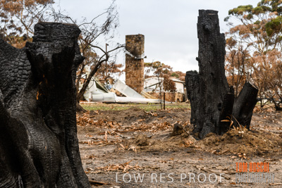 February 2020 / BSA_KI_135