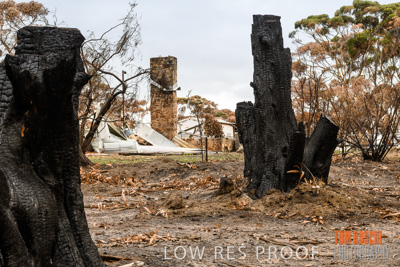 February 2020 / BSA_KI_136