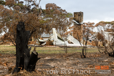 February 2020 / BSA_KI_137