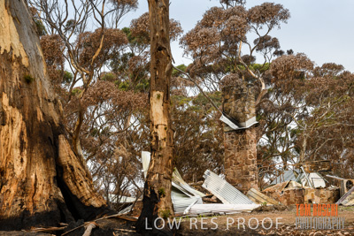 February 2020 / BSA_KI_138