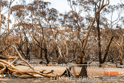 February 2020 / BSA_KI_139