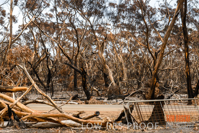 February 2020 / BSA_KI_140