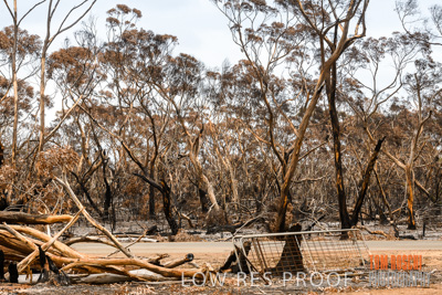 February 2020 / BSA_KI_141