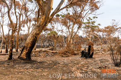 February 2020 / BSA_KI_142