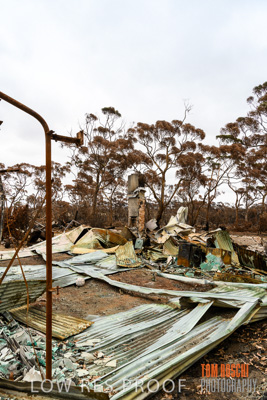 February 2020 / BSA_KI_166