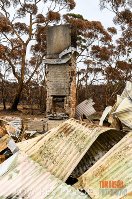 February 2020 / BSA_KI_177