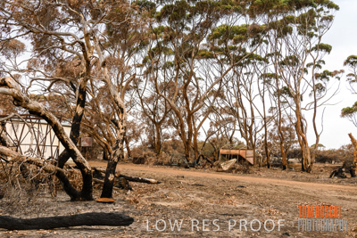 February 2020 / BSA_KI_179